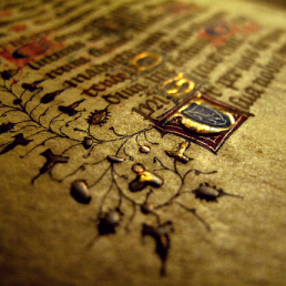 ↟↟ Alrauna ↟↟